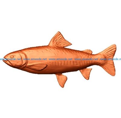 salmon fish file stl free vector art 3d model download for CNC