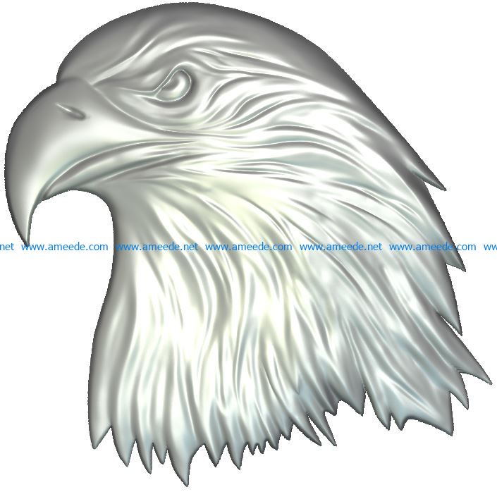 Eagle head flying file RLF for Artcam 9 and Aspire free vector art 3d model download for CNC wood carving