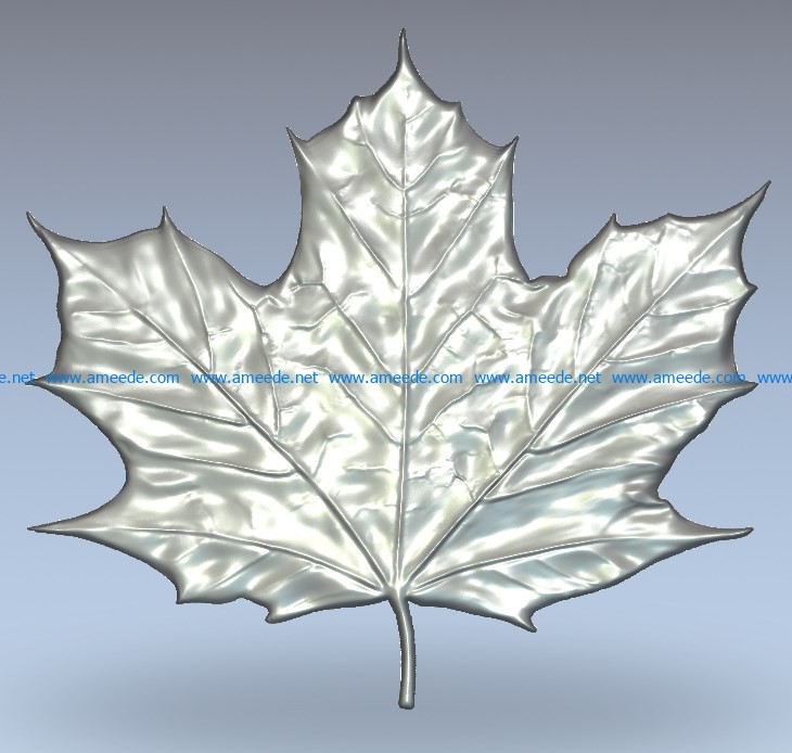 Maple Leaf wood carving file stl for Artcam and Aspire jdpaint free vector art 3d model download for CNC