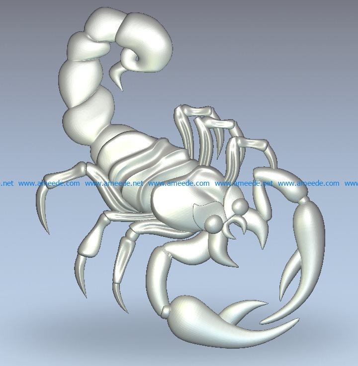 Scorpio file RLF for Artcam 9 and Aspire free vector art 3d model download for CNC wood carving