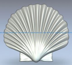 Shell wood carving file stl for Artcam and Aspire jdpaint free vector art 3d model download for CNC