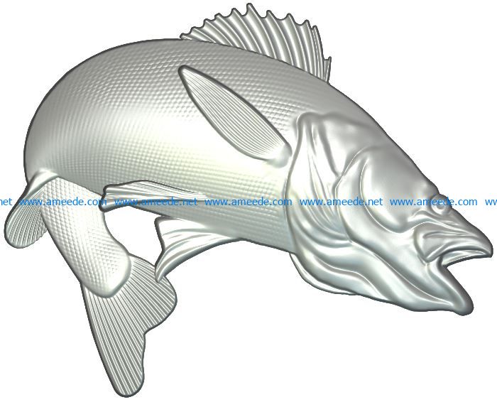 Zander fish file RLF for Artcam 9 and Aspire free vector art 3d model download for CNC wood carving