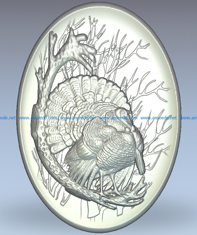 Picture of a turkey in a oval shape wood carving file stl for Artcam and Aspire jdpaint free vector art 3d model download for CNC