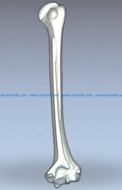 Pipe bone wood carving file stl for Artcam and Aspire jdpaint free vector art 3d model download for CNC