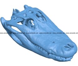Alligator Skull head B003535 file stl free download 3D Model for CNC and 3d printer
