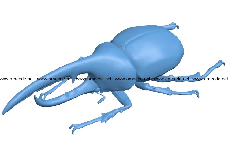 Beetle B003550 file stl free download 3D Model for CNC and 3d