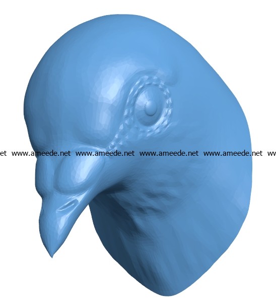 Dove Head B002907 file stl free download 3D Model for CNC and 3d printer