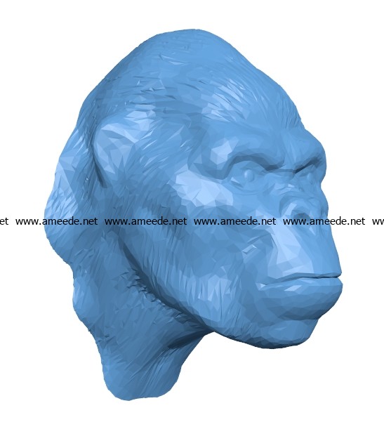 Gorilla Head B002909 file stl free download 3D Model for CNC and 3d printer
