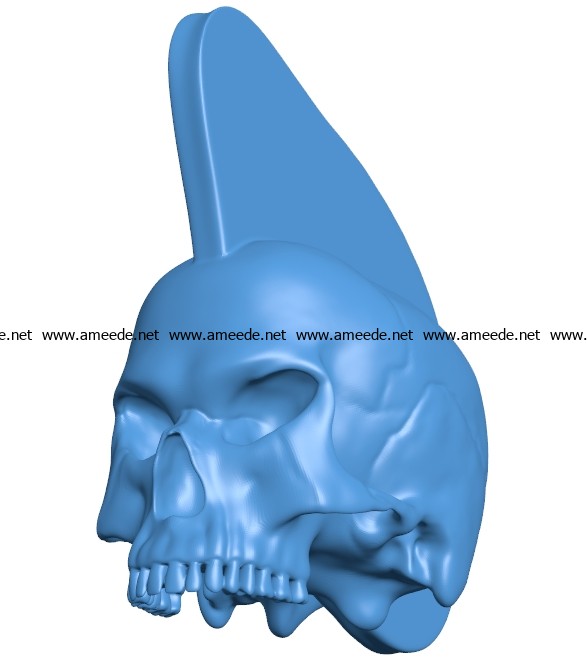 Head Punk skull B003756 file stl free download 3D Model for CNC and 3d printer