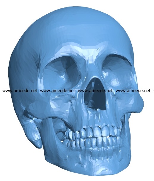 Human skull B002972 file stl free download 3D Model for CNC and 3d printer