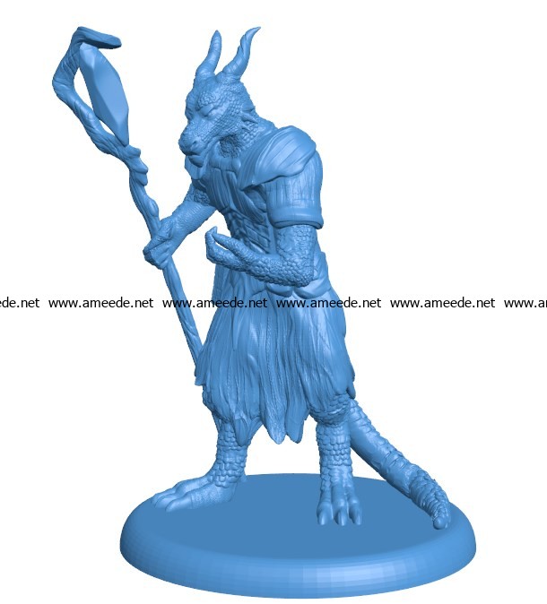 Kobold Wizard Dragon B003764 file stl free download 3D Model for CNC and 3d printer