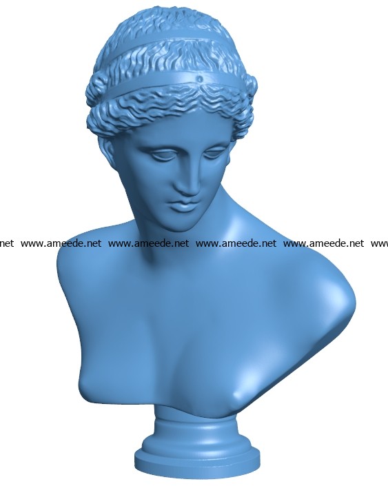 Louvre venus of arles bust women B003141 file stl free download 3D Model for CNC and 3d printer