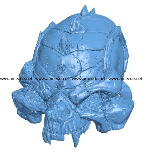 Mystical skull head B003245 file stl free download 3D Model for CNC and 3d printer
