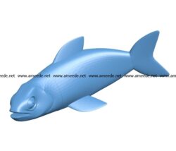 Ordinary fish B003255 file stl free download 3D Model for CNC and 3d printer
