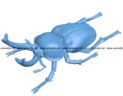 Rainbow stag beetle B003639 file stl free download 3D Model for CNC and 3d printer