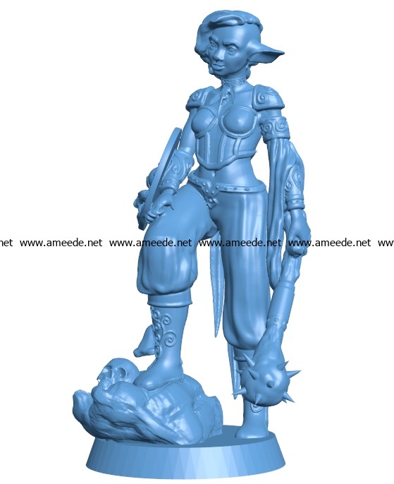 Women firbolg druid B003127 file stl free download 3D Model for CNC and 3d printer