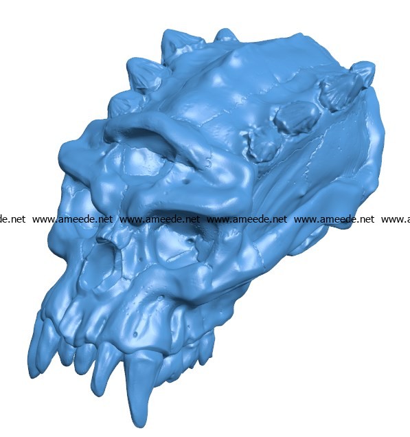 Head solid skull B003796 file stl free download 3D Model for CNC and 3d printer