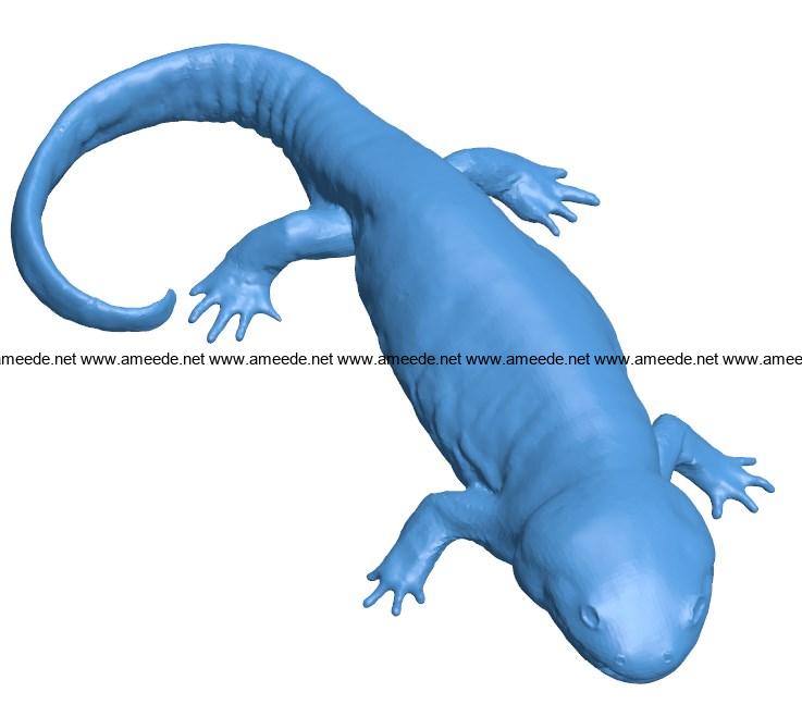 Tiger salamander B004110 file stl free download 3D Model for CNC and 3d printer