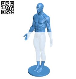 Mr Anatomy B004593 file stl free download 3D Model for CNC and 3d printer