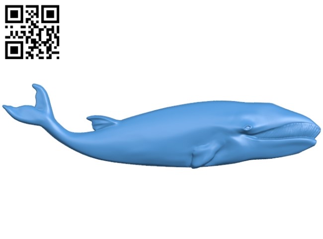 The fish - blue whale A003587 wood carving file stl for Artcam and Aspire free art 3d model download for CNC