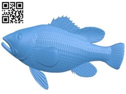The fish – tilapia A003578 wood carving file stl for Artcam and Aspire free art 3d model download for CNC