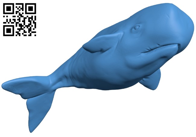 Ballena - fish B005137 file stl free download 3D Model for CNC and 3d printer