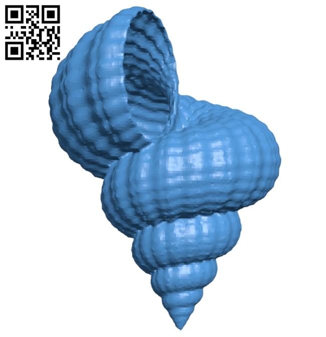 Conch B005478 file stl free download 3D Model for CNC and 3d printer