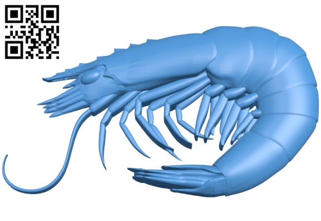 Shrimp B005394 file stl free download 3D Model for CNC and 3d printer