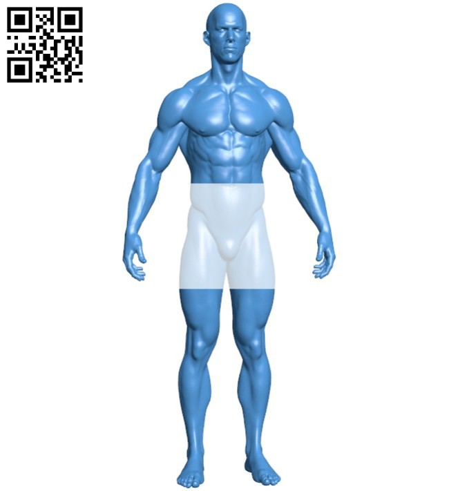 Muscular man B005880 download free stl files 3d model for 3d printer and CNC carving