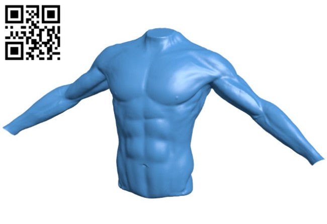 Torso of athlete B006613 file stl free download 3D Model for CNC and 3d printer