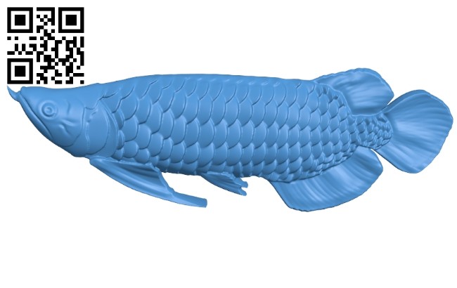 Arowana - fish B006922 file stl free download 3D Model for CNC and 3d printer