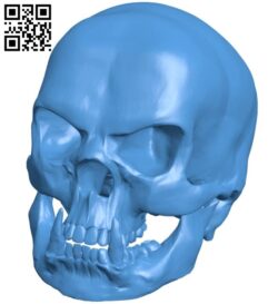 Orc skull B006810 file stl free download 3D Model for CNC and 3d printer