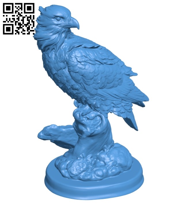 Eagle B007132 file stl free download 3D Model for CNC and 3d printer