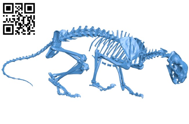 Mountain lion skeleton B007297 file stl free download 3D Model for CNC and 3d printer
