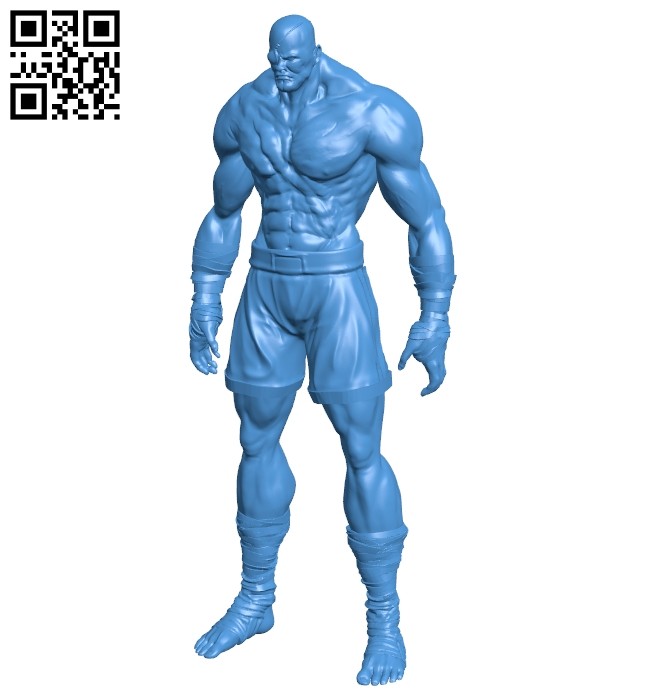 Mr Sagat B007308 file stl free download 3D Model for CNC and 3d printer