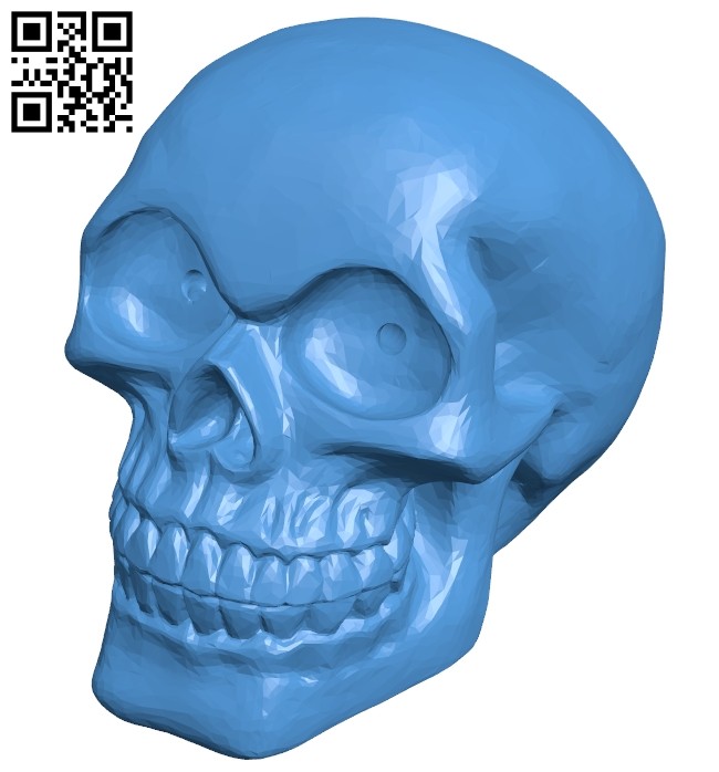Skull TMS B007305 file stl free download 3D Model for CNC and 3d printer