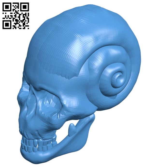 Skull snail B007436 file stl free download 3D Model for CNC and 3d printer