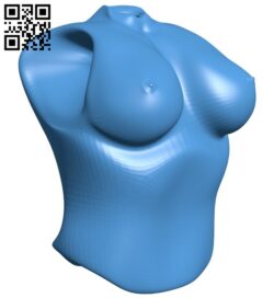 Female boobs B007764 file stl free download 3D Model for CNC and 3d printer