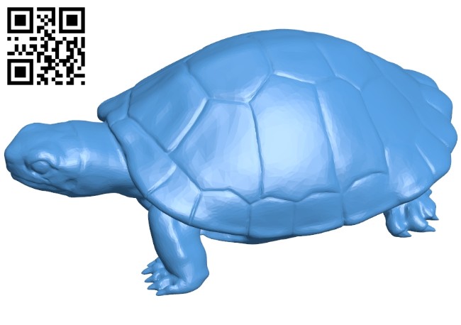 Realistic Turtle B007678 file stl free download 3D Model for CNC and 3d printer