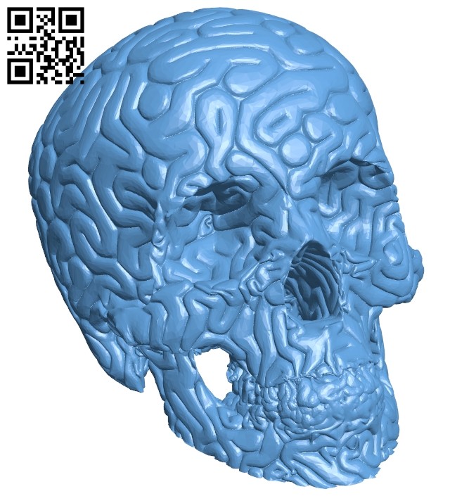 No brainer - skull B008174 file stl free download 3D Model for CNC and 3d printer