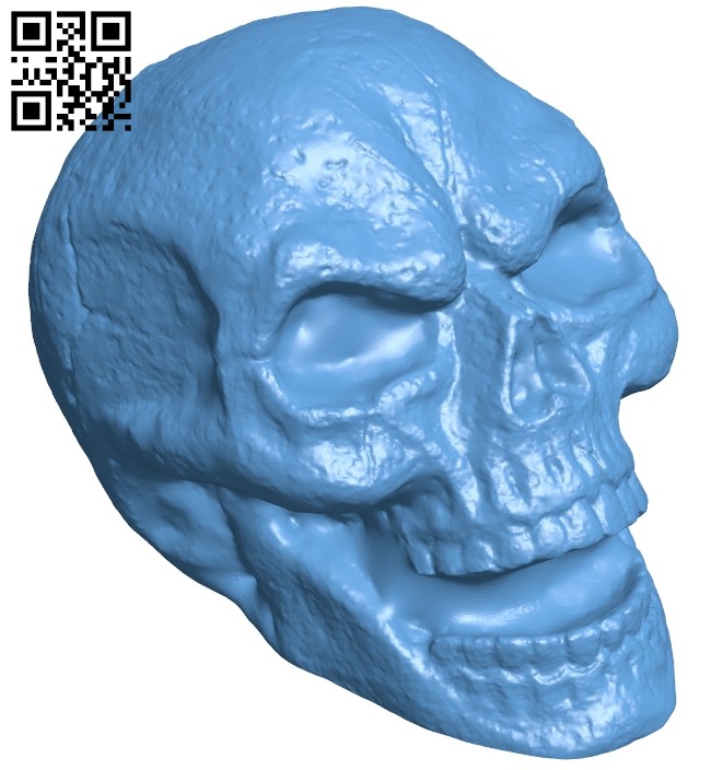 Skull hollow B008171 file stl free download 3D Model for CNC and 3d printer