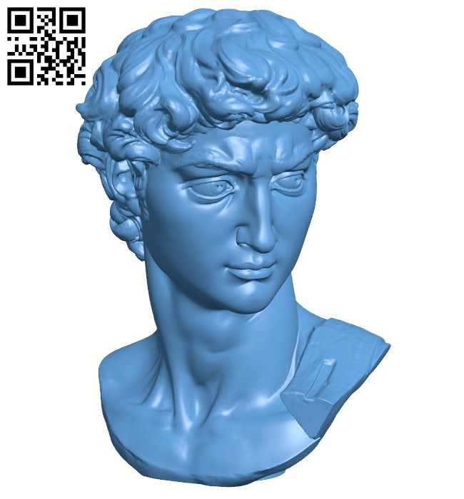 Head of Michelangelo's David B008757 file obj free download 3D Model for  CNC and 3d printer – Download Stl Files