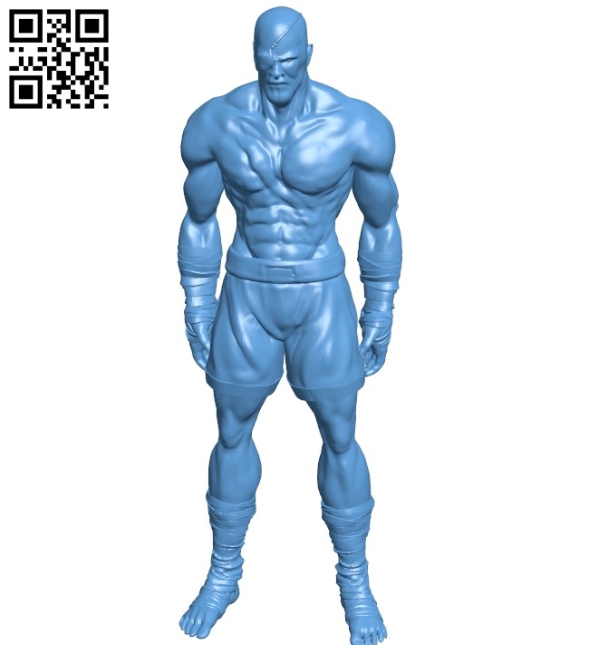 Mr Sagat B008833 file obj free download 3D Model for CNC and 3d printer