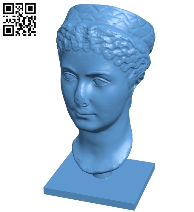 Met matidia minor - head B008937 file obj free download 3D Model for CNC and 3d printer