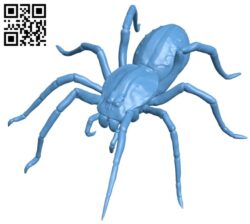 Spider B009218 file obj free download 3D Model for CNC and 3d printer
