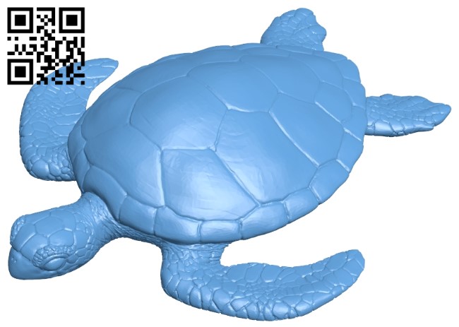 Turtle detailed B009496 file stl free download 3D Model for CNC and 3d printer