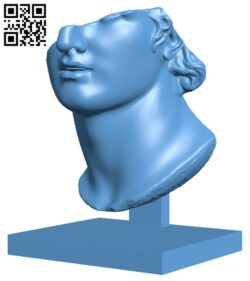 Fragmentary Colossal Head of a Youth H000277 file stl free download 3D Model for CNC and 3d printer