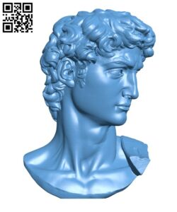 Head of Michelangelo’s David H000095 file stl free download 3D Model for CNC and 3d printer
