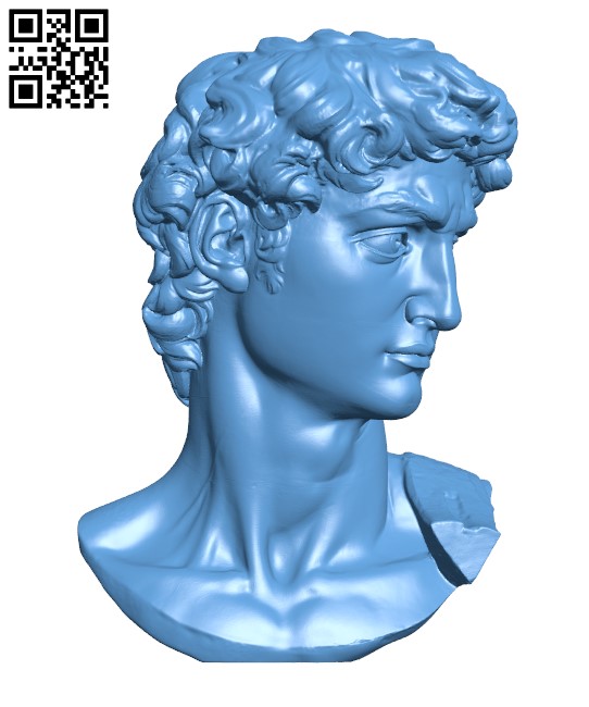 Head of Michelangelo's David H000095 file stl free download 3D Model for CNC and 3d printer