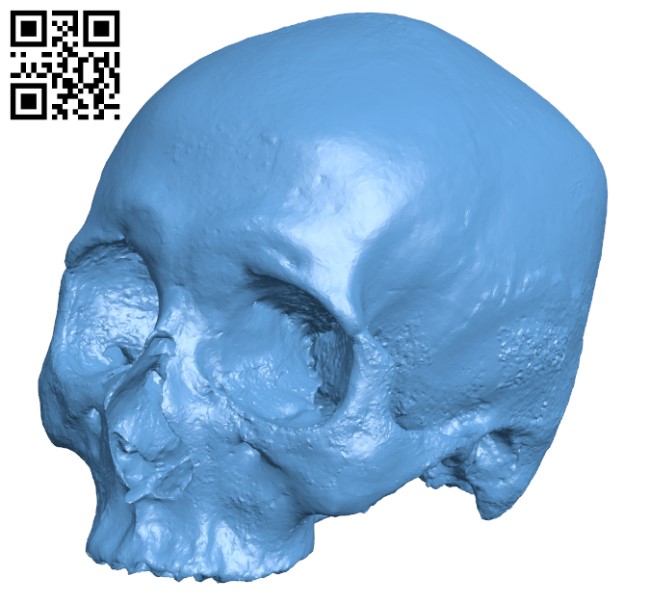 Human skull H000342 file stl free download 3D Model for CNC and 3d printer